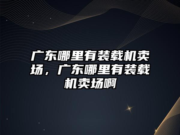 廣東哪里有裝載機賣場，廣東哪里有裝載機賣場啊