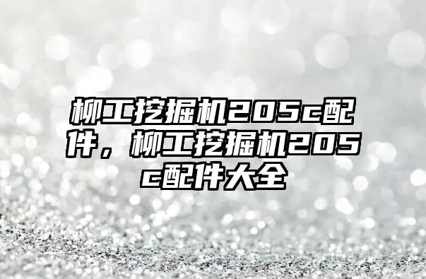 柳工挖掘機(jī)205c配件，柳工挖掘機(jī)205c配件大全