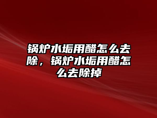 鍋爐水垢用醋怎么去除，鍋爐水垢用醋怎么去除掉