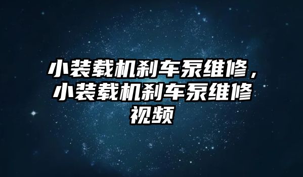 小裝載機(jī)剎車泵維修，小裝載機(jī)剎車泵維修視頻