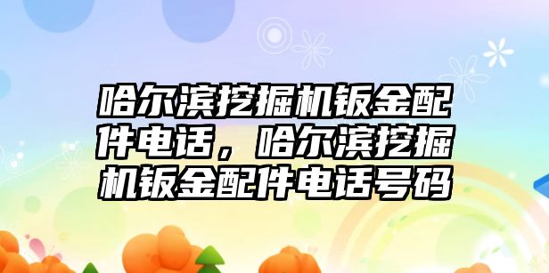 哈爾濱挖掘機(jī)鈑金配件電話，哈爾濱挖掘機(jī)鈑金配件電話號(hào)碼