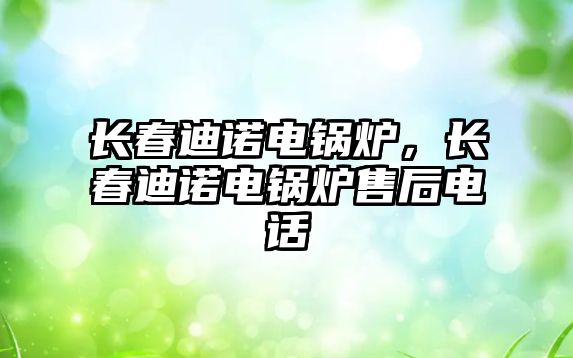 長春迪諾電鍋爐，長春迪諾電鍋爐售后電話