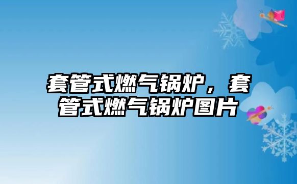 套管式燃?xì)忮仩t，套管式燃?xì)忮仩t圖片