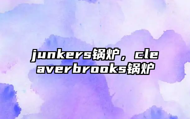 junkers鍋爐，cleaverbrooks鍋爐