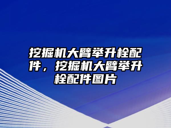 挖掘機大臂舉升栓配件，挖掘機大臂舉升栓配件圖片