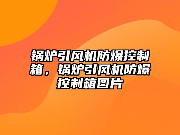 鍋爐引風機防爆控制箱，鍋爐引風機防爆控制箱圖片