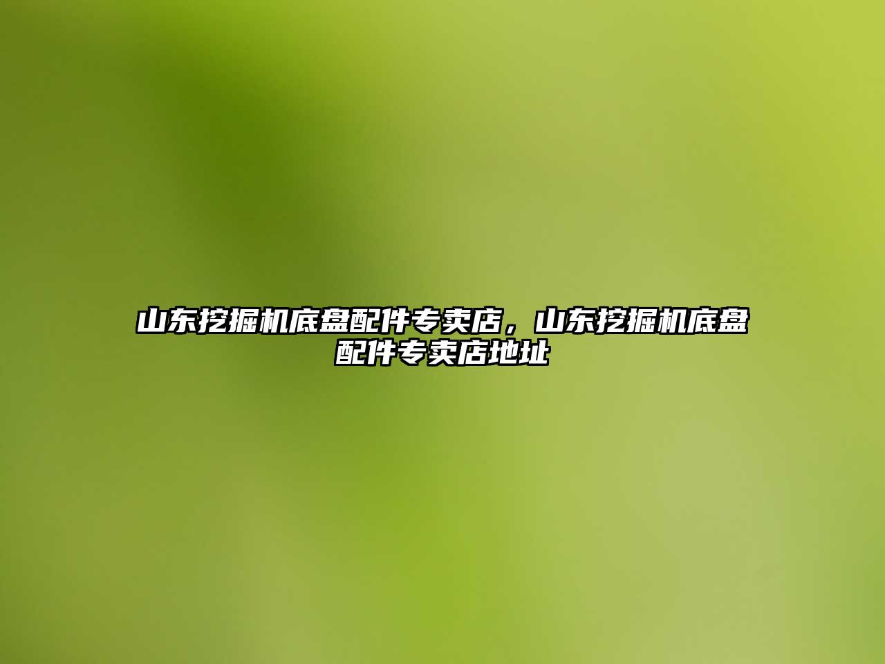 山東挖掘機底盤配件專賣店，山東挖掘機底盤配件專賣店地址