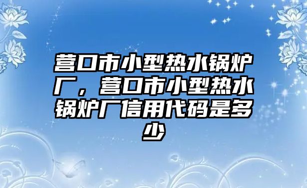 營口市小型熱水鍋爐廠，營口市小型熱水鍋爐廠信用代碼是多少