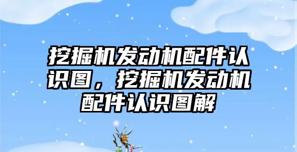 挖掘機發(fā)動機配件認識圖，挖掘機發(fā)動機配件認識圖解