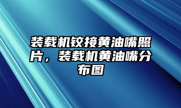 裝載機鉸接黃油嘴照片，裝載機黃油嘴分布圖