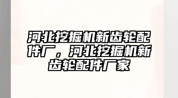 河北挖掘機(jī)新齒輪配件廠，河北挖掘機(jī)新齒輪配件廠家