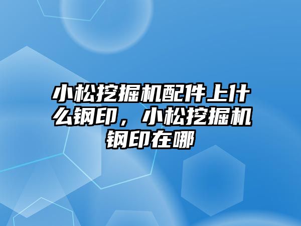 小松挖掘機配件上什么鋼印，小松挖掘機鋼印在哪