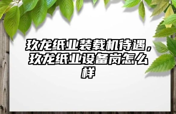 玖龍紙業(yè)裝載機待遇，玖龍紙業(yè)設備崗怎么樣