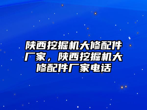 陜西挖掘機大修配件廠家，陜西挖掘機大修配件廠家電話