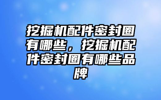 挖掘機(jī)配件密封圈有哪些，挖掘機(jī)配件密封圈有哪些品牌