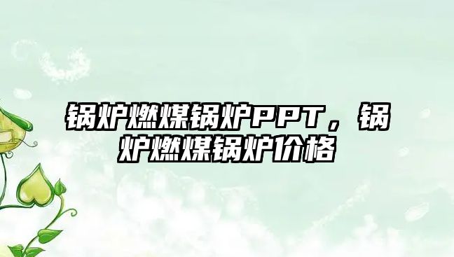 鍋爐燃煤鍋爐PPT，鍋爐燃煤鍋爐價(jià)格