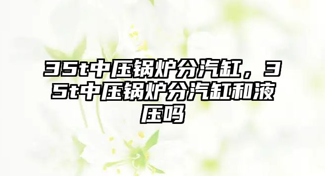 35t中壓鍋爐分汽缸，35t中壓鍋爐分汽缸和液壓?jiǎn)?/>	
								</i>
								<p class=