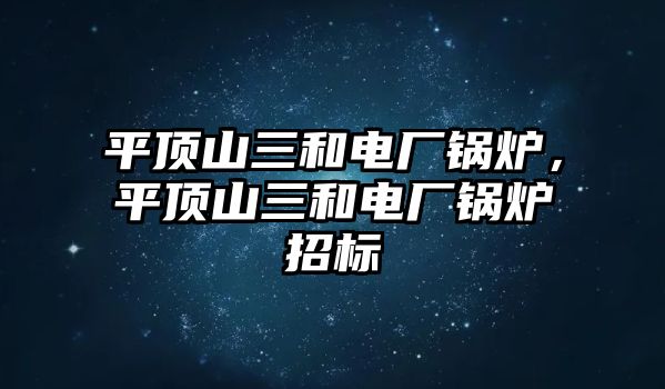 平頂山三和電廠鍋爐，平頂山三和電廠鍋爐招標