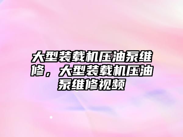 大型裝載機壓油泵維修，大型裝載機壓油泵維修視頻