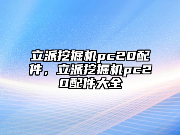 立派挖掘機pc20配件，立派挖掘機pc20配件大全