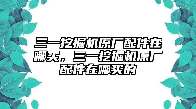 三一挖掘機原廠配件在哪買，三一挖掘機原廠配件在哪買的