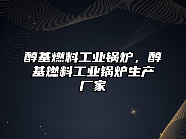 醇基燃料工業(yè)鍋爐，醇基燃料工業(yè)鍋爐生產(chǎn)廠家