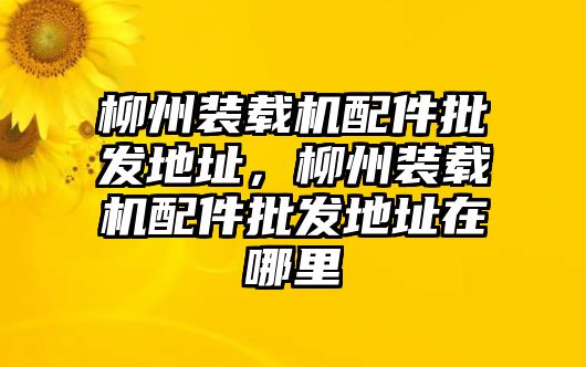 柳州裝載機配件批發(fā)地址，柳州裝載機配件批發(fā)地址在哪里