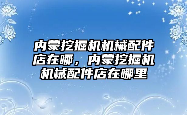 內(nèi)蒙挖掘機機械配件店在哪，內(nèi)蒙挖掘機機械配件店在哪里