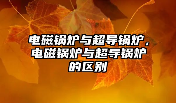 電磁鍋爐與超導鍋爐，電磁鍋爐與超導鍋爐的區(qū)別