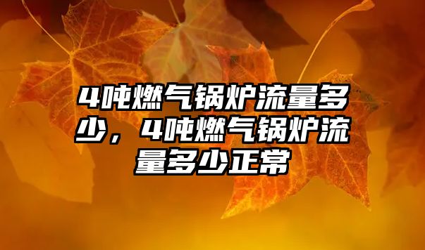 4噸燃?xì)忮仩t流量多少，4噸燃?xì)忮仩t流量多少正常