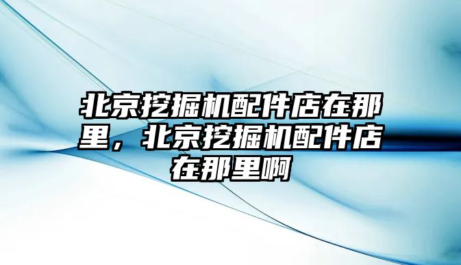 北京挖掘機配件店在那里，北京挖掘機配件店在那里啊