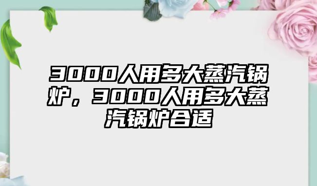 3000人用多大蒸汽鍋爐，3000人用多大蒸汽鍋爐合適