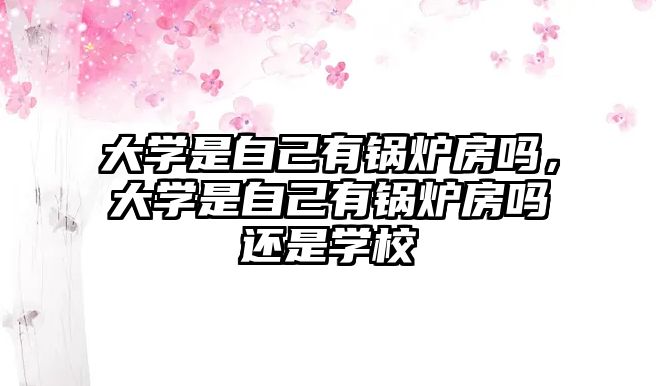 大學(xué)是自己有鍋爐房嗎，大學(xué)是自己有鍋爐房嗎還是學(xué)校