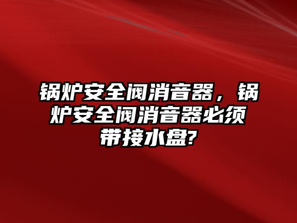 鍋爐安全閥消音器，鍋爐安全閥消音器必須帶接水盤?