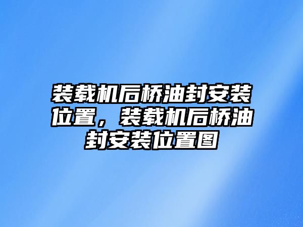 裝載機(jī)后橋油封安裝位置，裝載機(jī)后橋油封安裝位置圖