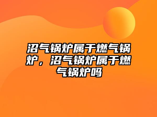 沼氣鍋爐屬于燃?xì)忮仩t，沼氣鍋爐屬于燃?xì)忮仩t嗎