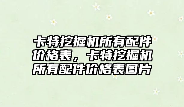 卡特挖掘機所有配件價格表，卡特挖掘機所有配件價格表圖片