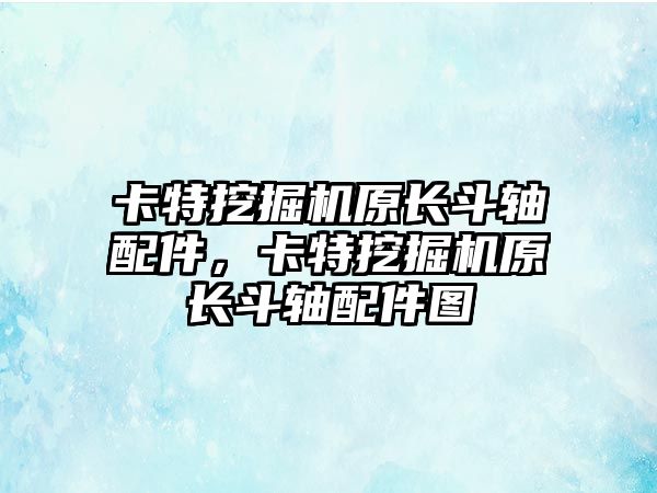 卡特挖掘機原長斗軸配件，卡特挖掘機原長斗軸配件圖