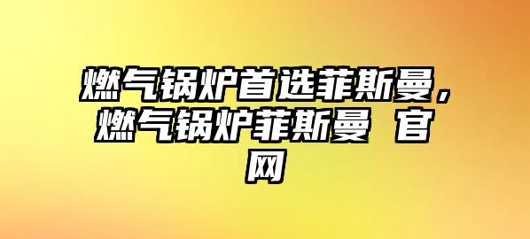 燃?xì)忮仩t首選菲斯曼，燃?xì)忮仩t菲斯曼 官網(wǎng)