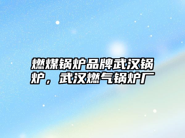 燃煤鍋爐品牌武漢鍋爐，武漢燃?xì)忮仩t廠(chǎng)