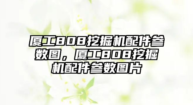 廈工808挖掘機(jī)配件參數(shù)圖，廈工808挖掘機(jī)配件參數(shù)圖片