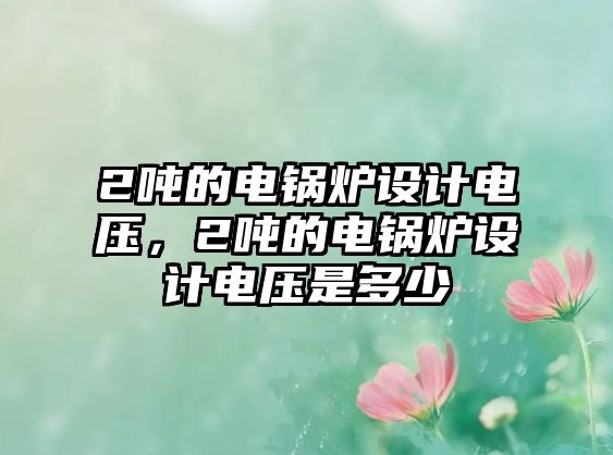 2噸的電鍋爐設(shè)計(jì)電壓，2噸的電鍋爐設(shè)計(jì)電壓是多少