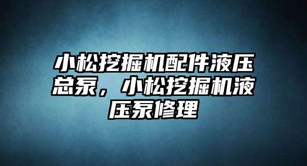 小松挖掘機配件液壓總泵，小松挖掘機液壓泵修理