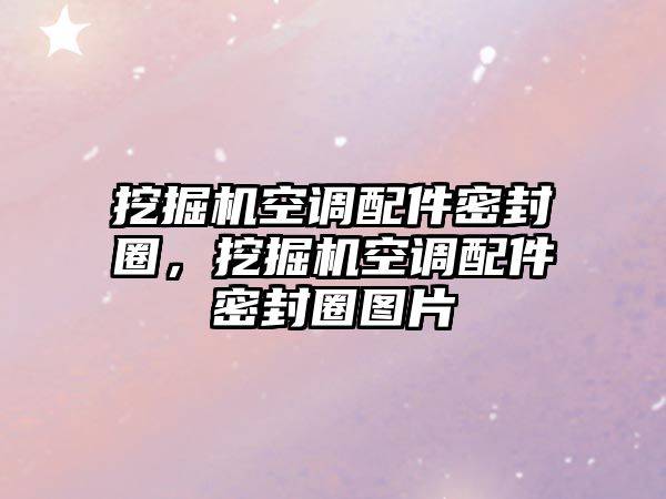 挖掘機(jī)空調(diào)配件密封圈，挖掘機(jī)空調(diào)配件密封圈圖片