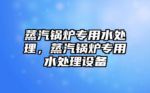 蒸汽鍋爐專用水處理，蒸汽鍋爐專用水處理設(shè)備