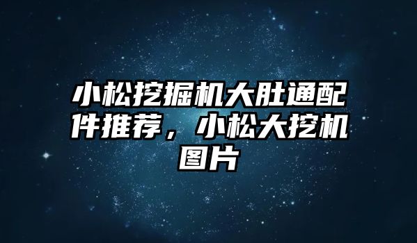 小松挖掘機大肚通配件推薦，小松大挖機圖片