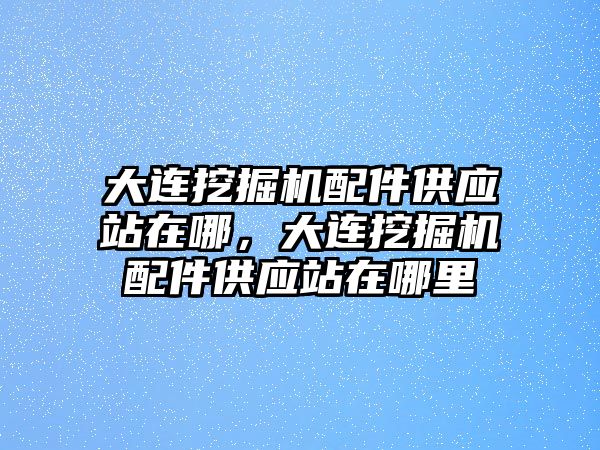 大連挖掘機配件供應站在哪，大連挖掘機配件供應站在哪里