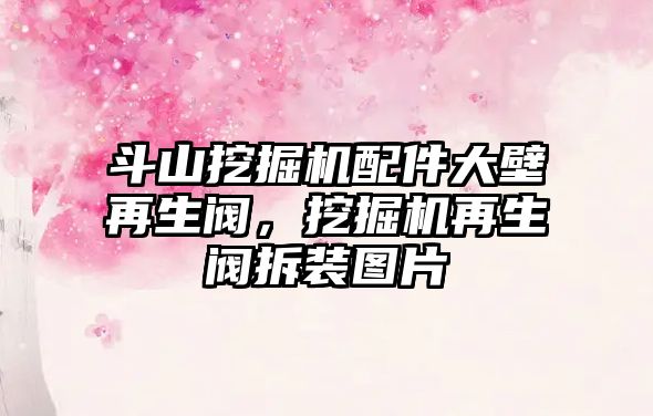 斗山挖掘機配件大壁再生閥，挖掘機再生閥拆裝圖片