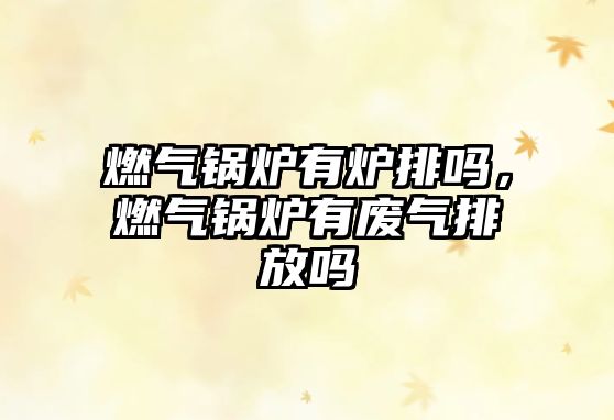 燃?xì)忮仩t有爐排嗎，燃?xì)忮仩t有廢氣排放嗎