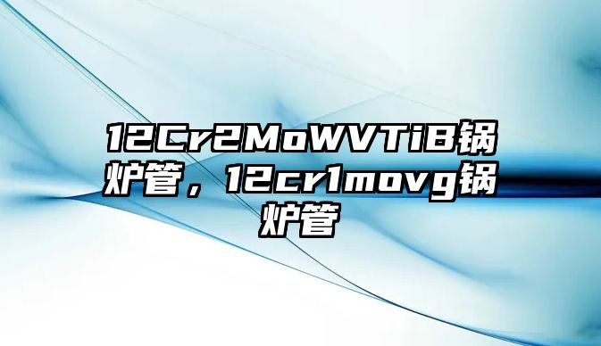 12Cr2MoWVTiB鍋爐管，12cr1movg鍋爐管